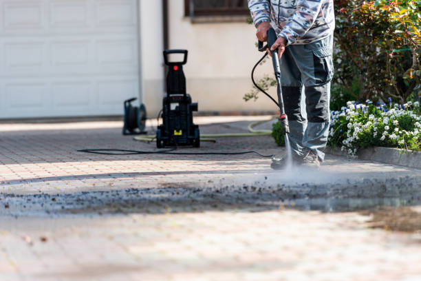 Best Power Washing Near Me  in Lewisburg, KY